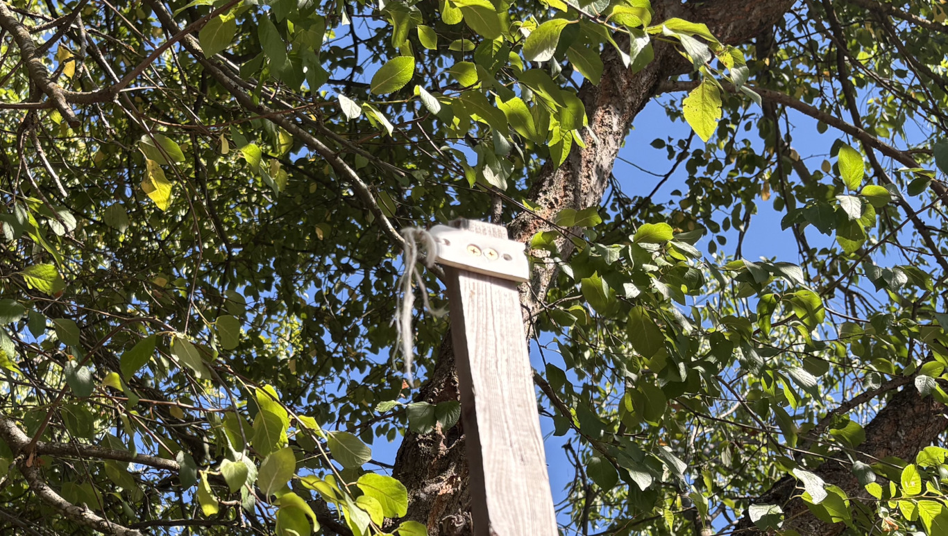 The fence side support with broken mason line