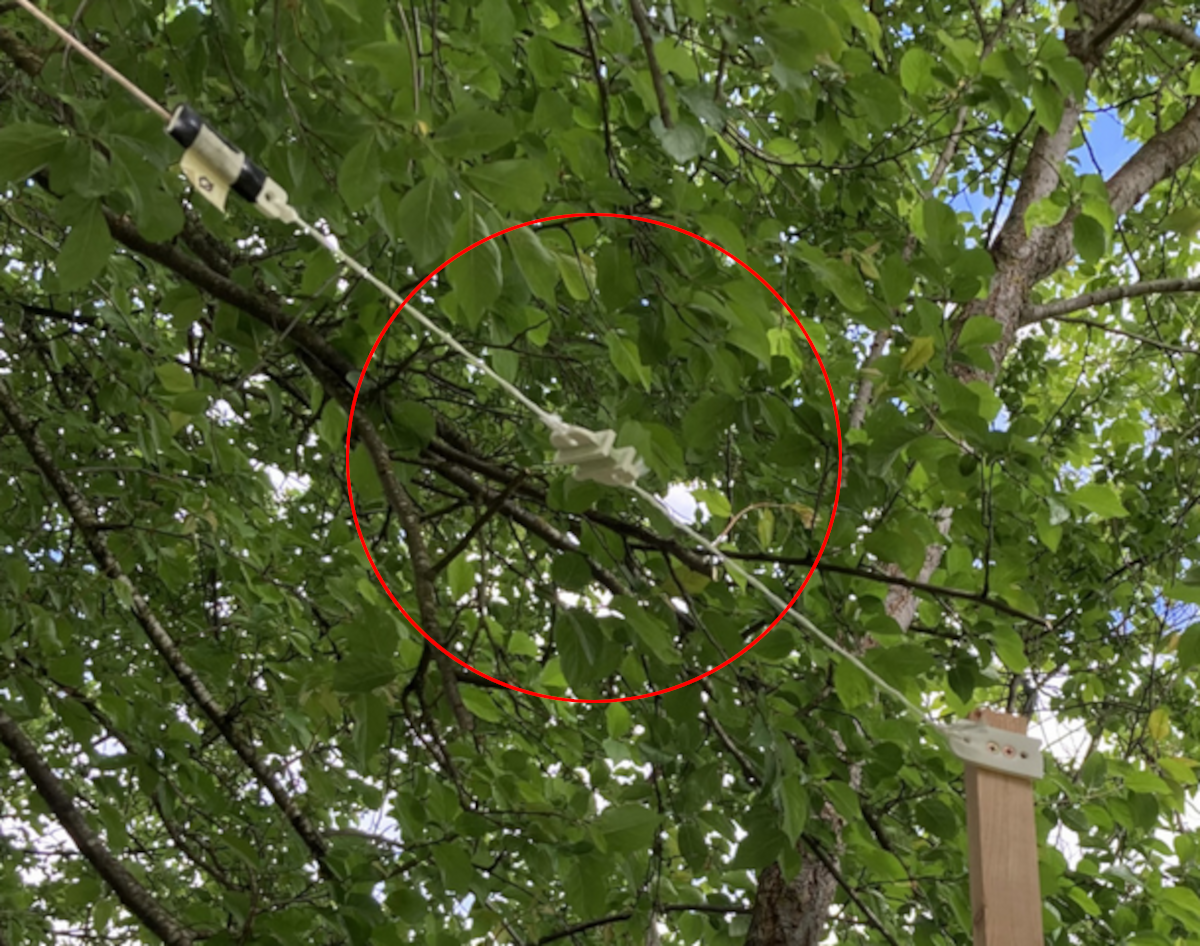Insulator assembly (circled) is missing now